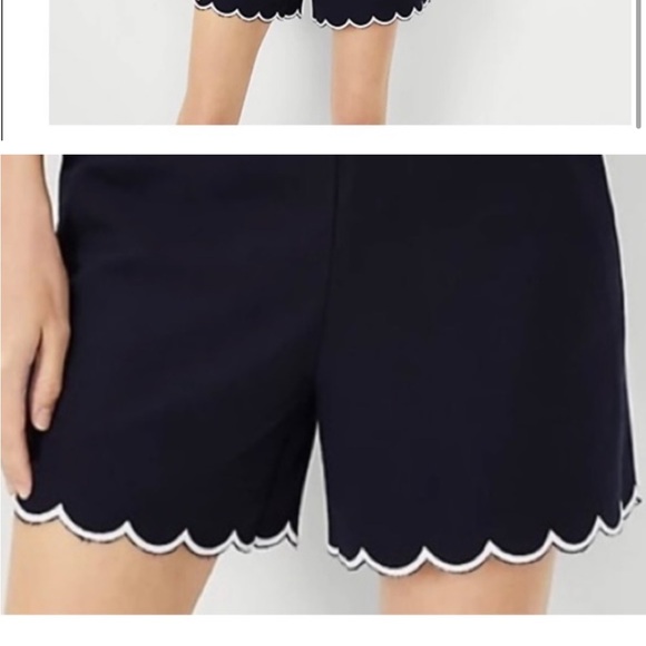 New Ann Taylor Navy Blue Shorts with White Scalloped Trip and Side Zip. US8 - Picture 9 of 12